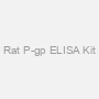 Rat P-gp ELISA Kit